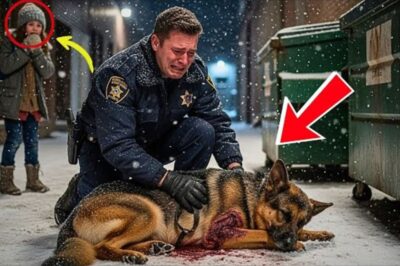 La police découvre un chien mourant près d’une poubelle — puis une jeune sans-abri lui révèle l’horrible vérité