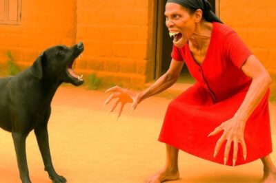 Le chien de la veuve l’a sauvée de la sorcellerie… mais la vérité va vous choquer 😱