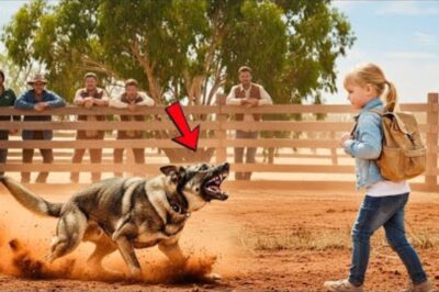 CHOC: Personne ne pouvait dompter ce chien policier sauvage — puis une petite fille a fait quelque chose de choquant !