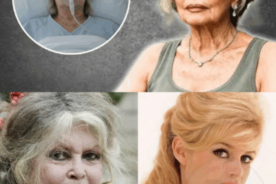 À 90 ans, Brigitte Bardot a finalement admis ce que tout le monde soupçonnait.