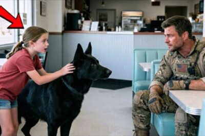 Une fillette dit à un Navy SEAL : « Mon chien peut retrouver votre fils » — La suite a choqué tout le monde