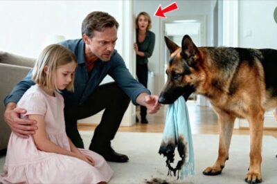 Toby, le Berger Allemand, Dénonce la Meurtrière : Le Secret Calciné qui a Sauvé la Fillette Muette