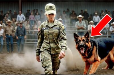 L’Humiliation Publique d’une Vétérane au Concours Canin : Ce Que Le Berger Allemand « Sans Nom » Leur A Fait Quand La Musique A Commencé