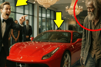“JE TE DONNE MA FERRARI SI TU LA DÉMARRES !” — LE MILLIONNAIRE HUMILIE UN VIEIL HOMME… LA FIN CHOQUE