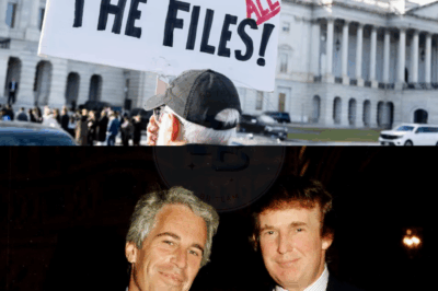 Affaire Epstein : Donald Trump, dans un revirement inattendu, appelle les républicains à approuver la publication du dossier sur le délinquant sexuel.