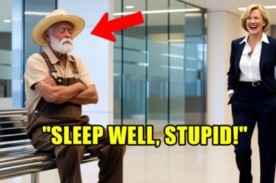 Une directrice de banque fait attendre une vieille fermière pendant deux heures – mais lorsque les membres du conseil d’administration arrivent soudainement, son sourire se fige et elle réalise qu’elle a commis une énorme erreur qui pourrait tout changer !