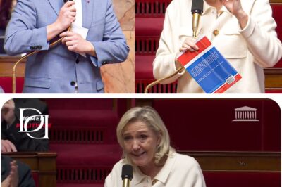 « Vous êtes des monstres » : L’Accusation Choc de Louis Boyard Contre Marine Le Pen Dégénère en Chaos à l’Assemblée