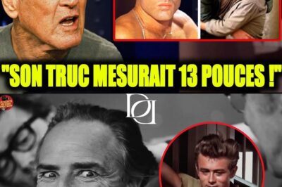 La Confession Explosive de Paul Newman : L’Icône Révèle les Six Amours Interdits, les Trahisons et le Chantages qui Ont Brisée Sa Vie Secrète à Hollywood
