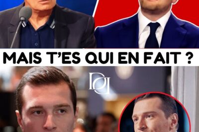 « Un Cancer Qui Dévore La Démocratie » : L’Intervention Choc Du Journaliste Fabrice Arfi Révèle Le « CV Judiciaire » Terrifiant De La France