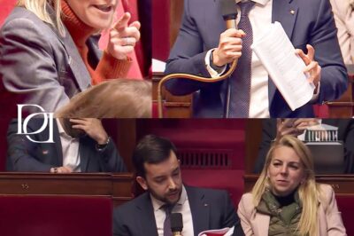 « La Russie vous soutient » : Macroniste S’EN PREND au RN, Tanguy RÉTORQUE !