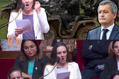 “On Va Les Massacrer” : Propos Haineux, Tirs Mortels et Couverture de l’IGGN, le Scandale Sainte-Soline Démantelé en Plein Hémicycle