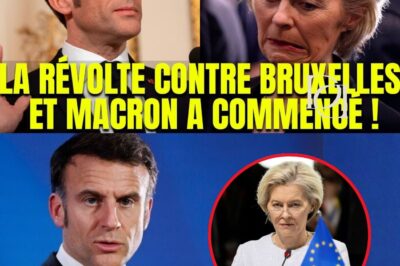 Séisme au Cœur de l’Europe : La Révolution Tchèque Antiglobaliste Sonnera-t-elle le Glas de l’Empire Macronien ?
