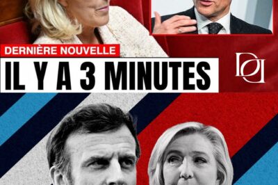 Ce que Marine Le Pen a dit à propos de Macron est incroyable…