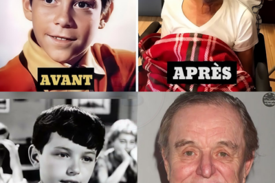 15 Acteurs Enfants des Années 60 que Vous ne Reconnaîtriez Jamais