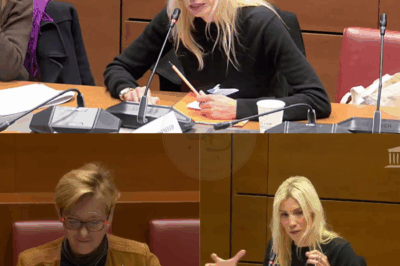 L’ex-Miss France brise le silence en audition… c’est CHAUD !