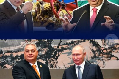 Le Choc des Réalités : Comment la “Désobéissance Souveraine” d’Orbán et la Trahison Silencieuse de Washington ont Démantelé l’Illusion d’une Europe Unie