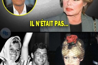 À 91 Ans, Brigitte Bardot Dit Enfin La Vérité Sur Sacha Distel