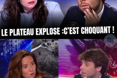 Sarah Knafo fait Trembler Benjamin Duhamel en Direct et met en garde la France !