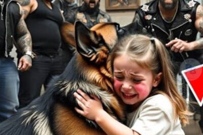 Une fillette de 9 ans harcelée par des motards, jusqu’à ce qu’elle fasse un signal à son chien militaire !