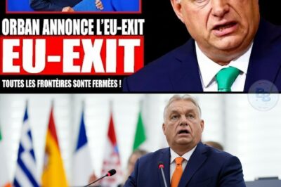 Viktor Orbán annonce qu’il quitte l’UE et ferme toutes les frontières ! Bruxelles est au bord du gouffre !