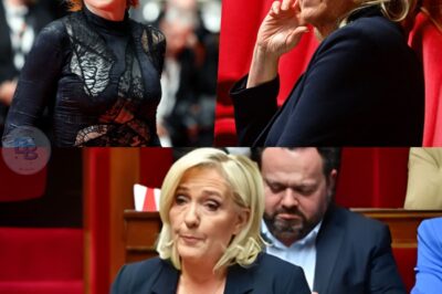 Mylène Farmer : un célèbre politique la compare à Marine Le Pen