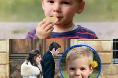 Mort du petit Émile : de nouveaux éléments révélés – la vie marquée par la détresse de la famille durant la disparition de l’enfant, les cris déchirants de la mère émeuvent l’opinion publique