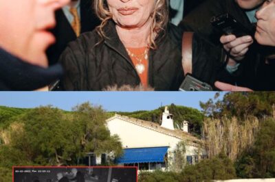 Brigitte Bardot : sa maison a été cambriolée, elle a vécu avec un inconnu pendant trois nuits consécutives. VIDÉO de la caméra de surveillance à vous glacer le sang