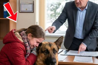 L’homme cruel ordonna l’euthanasie du chien — Jusqu’à ce que le chien de la petite fille trouve quelque chose qui choqua tout le monde