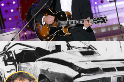 Sacha Distel : L’accident qui a brisé une vie ! Le drame méconnu qui a rendu une victime handicapée.