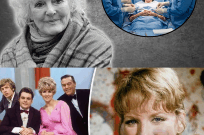 Suite au diagnostic tragique de Petula Clark, sa famille a confirmé la triste nouvelle.