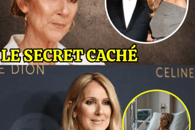 Céline Dion (2025) : Son dernier message inquiétant… “Je vis au jour le jour”