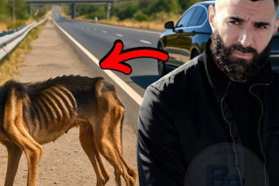 BENZEMA sauve un berger allemand attaché au bord de la route – pleurant de désespoir.