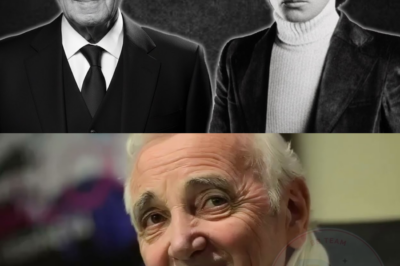 La vie et la mort tragique de Charles Aznavour et de son fils.