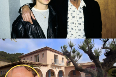 David Hallyday : Sa vengeance “SILENCIEUSE” ! Pourquoi il a ignoré la vente de la maison ?