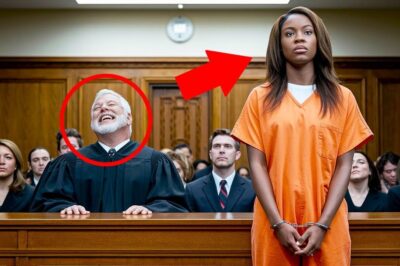 « JE PARLE 6 LANGUES » – DÉCLARA LA JEUNE ACCUSÉE… LE JUGE RIT, MAIS RESTE SIDÉRÉ 1 MINUTE PLUS TARD