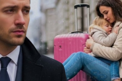 Veille de Noël,elle fut expulsée avec sa fille sans abri sans remarquer le millionnaire qui venait…