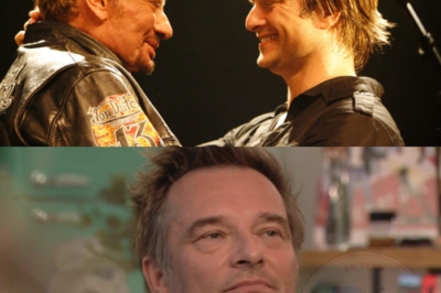 “Je ne guérirai jamais”, David Hallyday déchirant sur le mal qui l’habite.