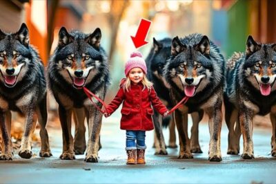 UNE PETITE FILLE SAUVE 6 « CHIOTS » – ELLE NE RÉALISE PAS QU’ILS NE SONT PAS DES CHIENS…
