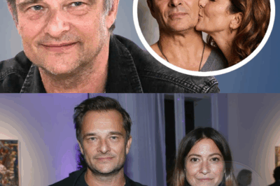 Après avoir divorcé de sa femme, David Hallyday a avoué la vérité sur le nouvel amour de sa vie.
