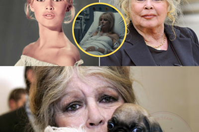 Brigitte Bardot affaiblie : l’évacuation de ses animaux de la Garrigue en son absence déclenche une vive polémique, son mari sort du silence.